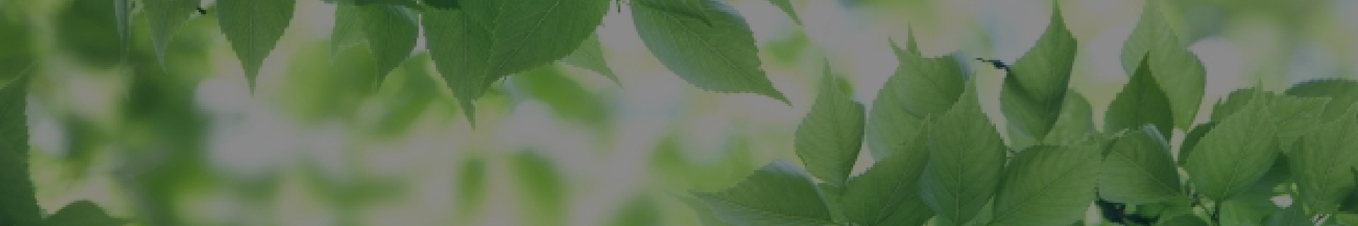 会社紹介